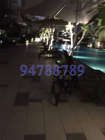 Terrasse (D19), Condominium #151881292